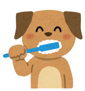 犬の歯磨きの重要性。ガムを噛んでいれば歯磨き出来たとは言えません！